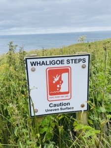 North_Coast_500_Whaligoe_Sign